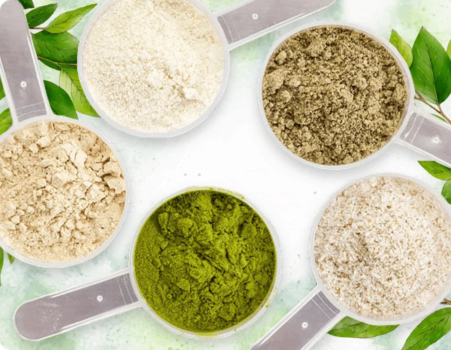 The ProDentim proprietary blend of probiotic strains, plants and minerals